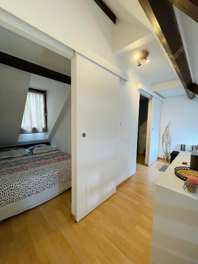 Duplex Du Pailhet, T3 Neuf, Vue Montagne, Parking, Navette Et 2 Velos A Disposition Gratuitement Bagnères-de-Luchon Eksteriør billede